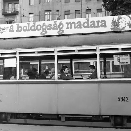 Kır Evi La Fete Flat Budapeşte